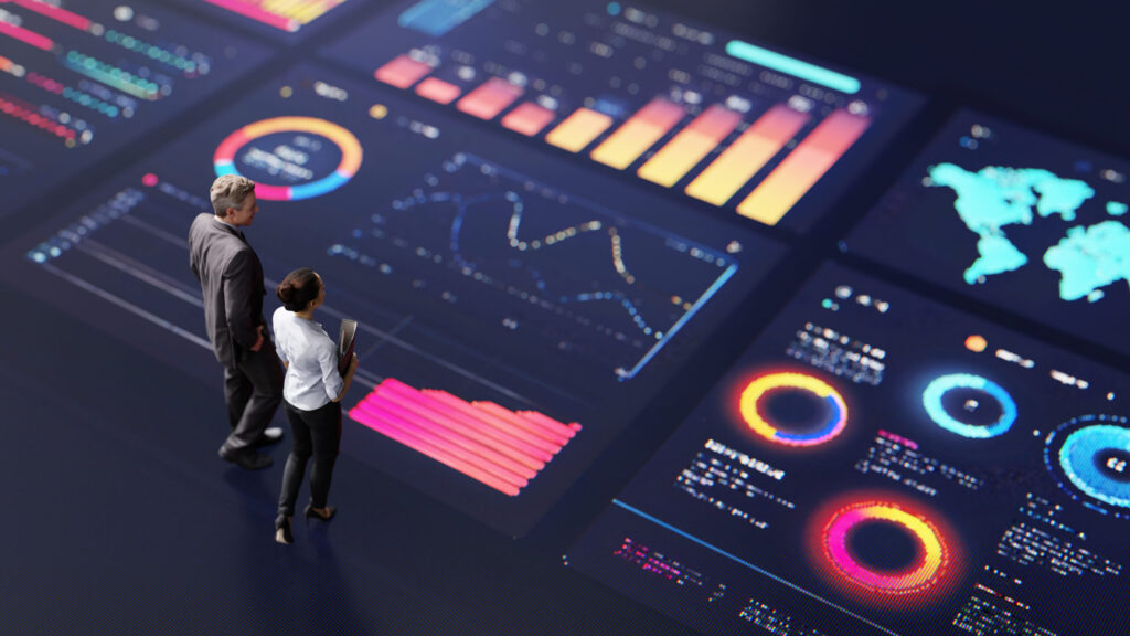 Risk Analysis / Issue Management / Monitoring