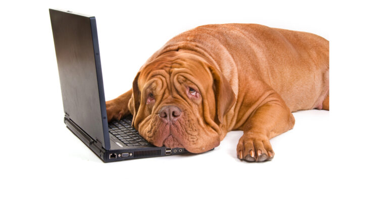 PR ohne Stress: 10 Must-haves für deine Pressemitteilung