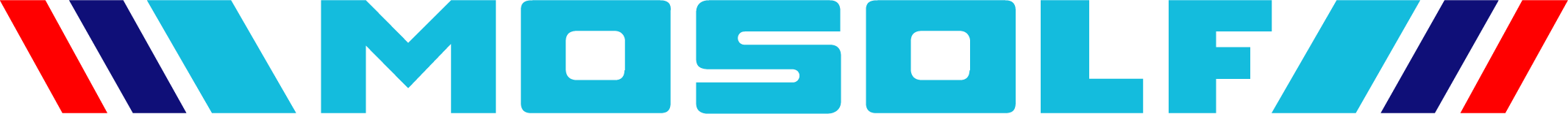 MOSOLF Logo