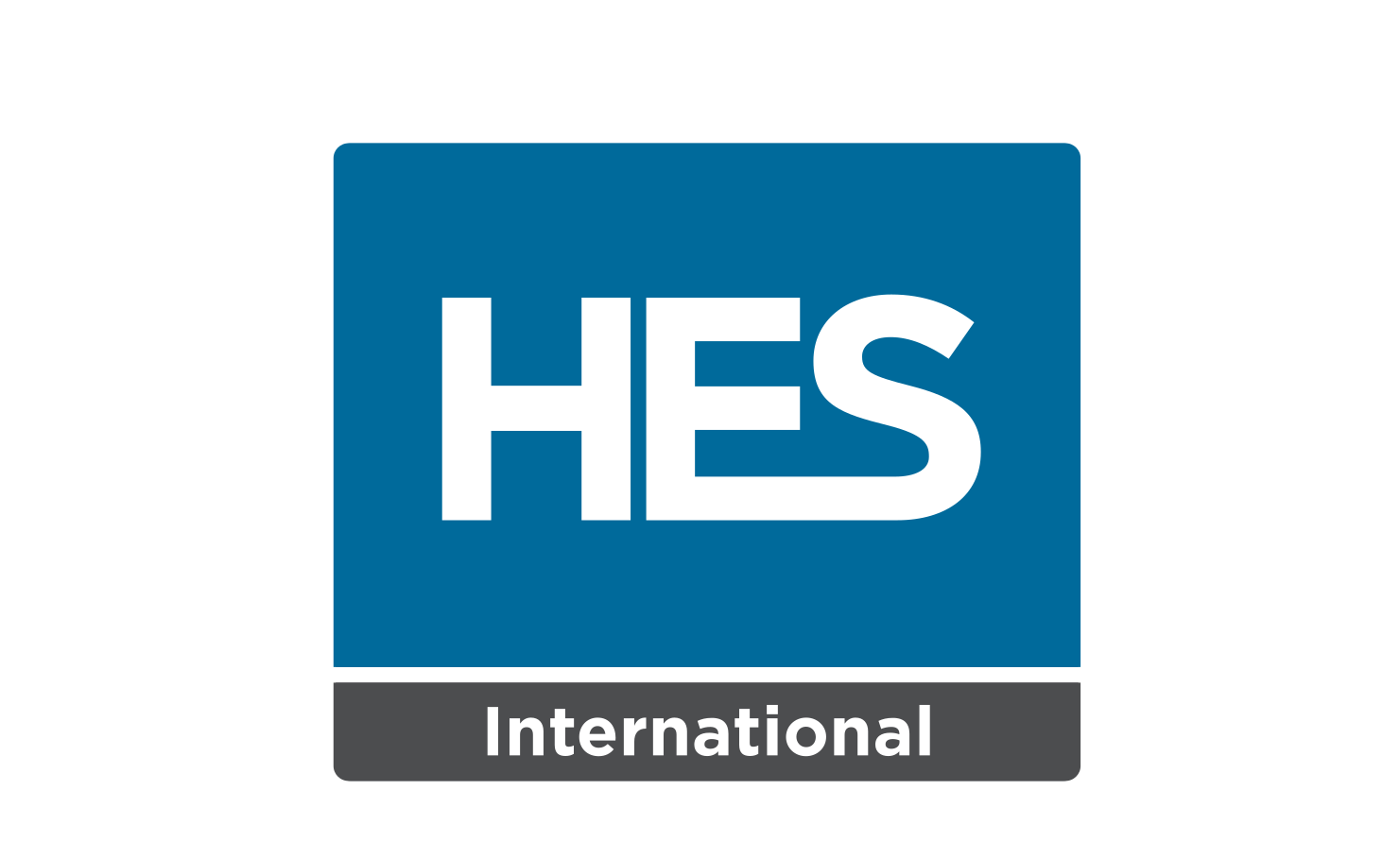 HES INTERNATIONAL Logo