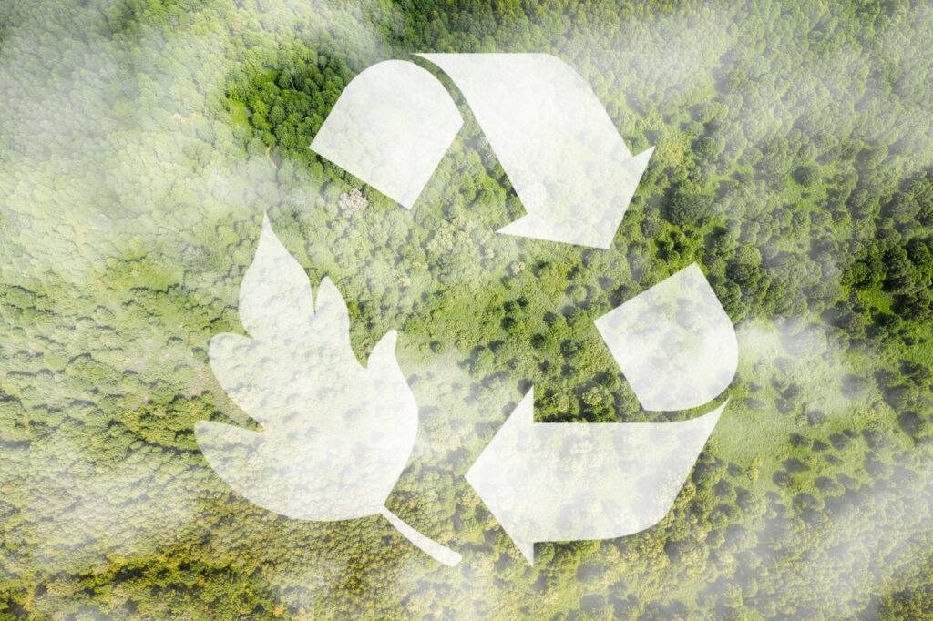 Environmental Economy